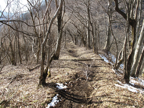20160218hike (499)